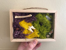 Load image into Gallery viewer, Oddities Shadow Box