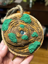 Load image into Gallery viewer, Wall hanging Tree Stump Eye
