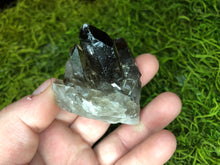 Load image into Gallery viewer, Smoky Quartz Clusters
