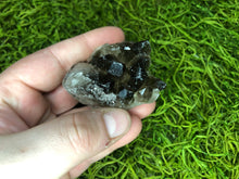 Load image into Gallery viewer, Smoky Quartz Clusters
