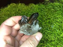 Load image into Gallery viewer, Smoky Quartz Clusters
